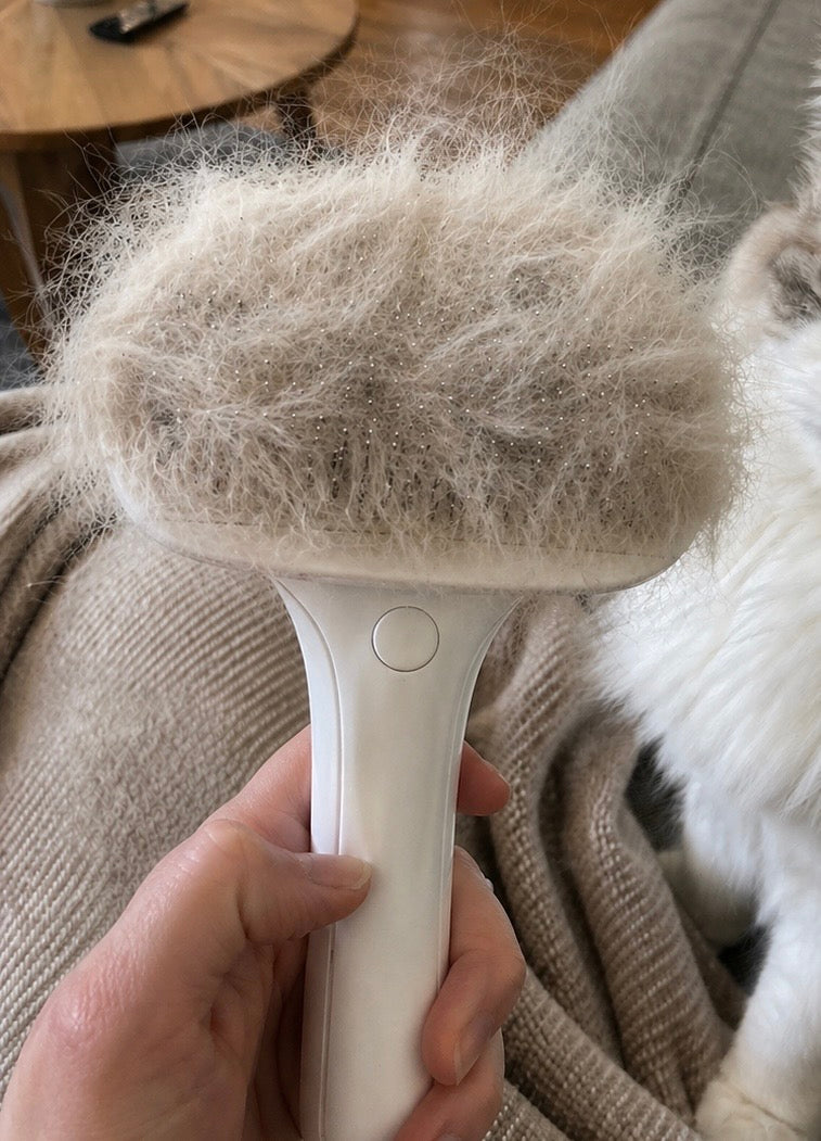 Brosse PilPoil sans adhésif — réutilisable, écologique, idéale pour chien et chat