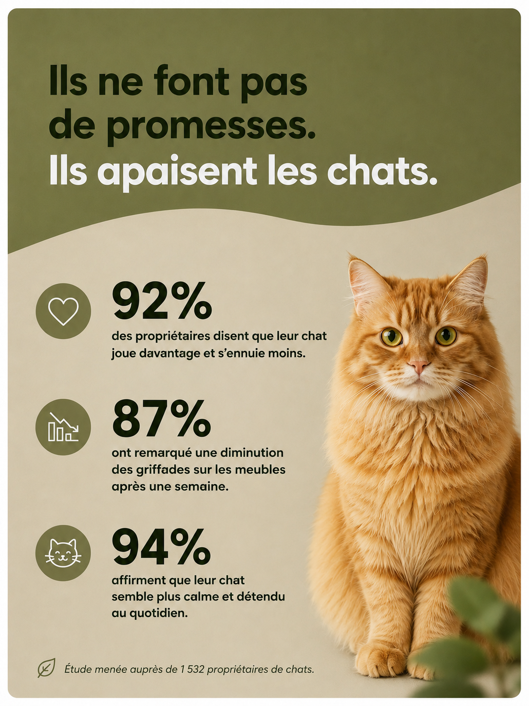 Griffoir- jouet interactifs pour chats