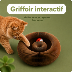 Griffoir- jouet interactifs pour chats