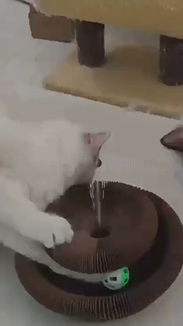 Vidéo