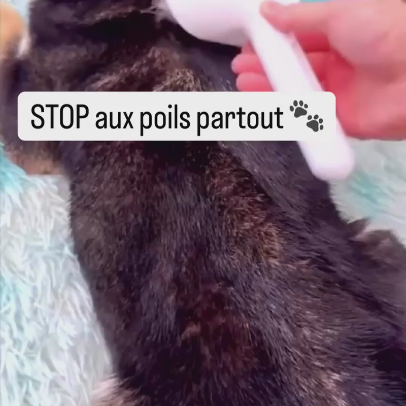 Vidéo