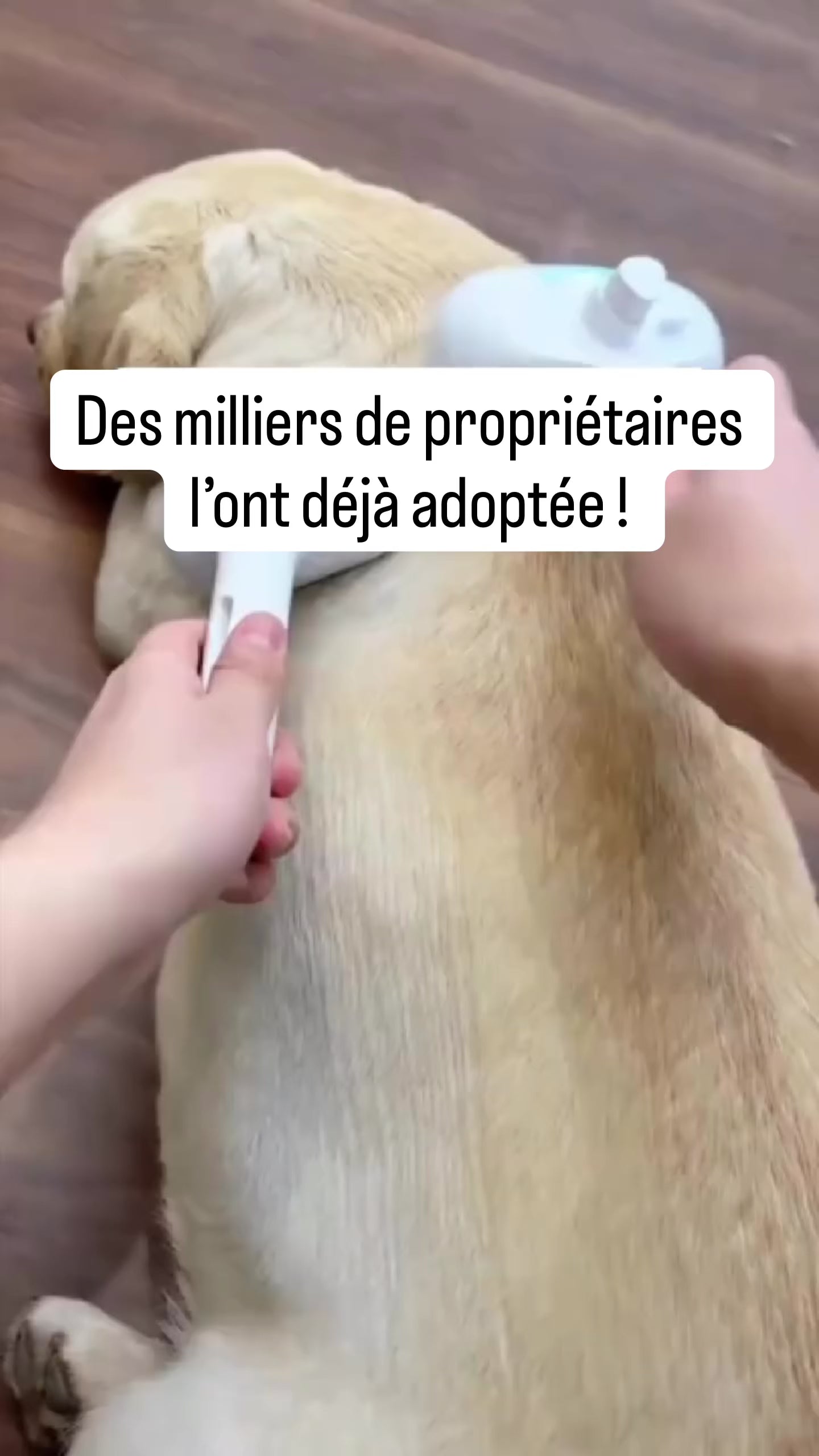 Vidéo